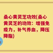 桑心黄灵芝功效(桑心黄灵芝的功效：增强免疫力，补气养血，降压降脂)