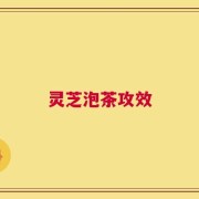 灵芝泡茶攻效