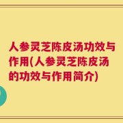 人参灵芝陈皮汤功效与作用(人参灵芝陈皮汤的功效与作用简介)