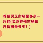 养殖灵芝市场是多少一斤的(灵芝养殖市场每斤价格是多少？)
