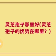灵芝孢子那里好(灵芝孢子的优势在哪里？)