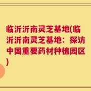 临沂沂南灵芝基地(临沂沂南灵芝基地：探访中国重要药材种植园区)