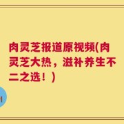 肉灵芝报道原视频(肉灵芝大热，滋补养生不二之选！)