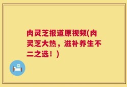 肉灵芝报道原视频(肉灵芝大热，滋补养生不二之选！)