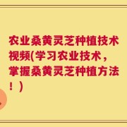 农业桑黄灵芝种植技术视频(学习农业技术，掌握桑黄灵芝种植方法！)