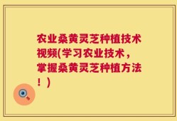 农业桑黄灵芝种植技术视频(学习农业技术，掌握桑黄灵芝种植方法！)
