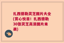 扎西德勒灵芝图片大全(赏心悦目！扎西德勒30张灵芝高清图片来袭)