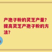 产孢子粉的灵芝产量？提高灵芝产孢子粉的方法？