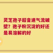 灵芝孢子超音速气流破壁？孢子粉沉淀的好还是易溶解的好
