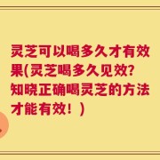 灵芝可以喝多久才有效果(灵芝喝多久见效？知晓正确喝灵芝的方法才能有效！)