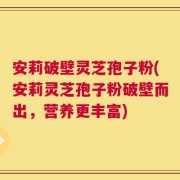 安莉破壁灵芝孢子粉(安莉灵芝孢子粉破壁而出，营养更丰富)