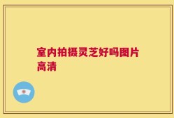 室内拍摄灵芝好吗图片高清