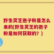 野生灵芝孢子粉是怎么来的(野生灵芝的孢子粉是如何获取的？)