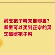 灵芝孢子粉来自哪里？哪里可以买到正宗的灵芝破壁孢子粉