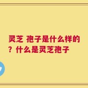 灵芝 孢子是什么样的？什么是灵芝孢子