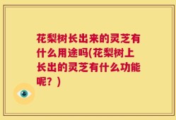 花梨树长出来的灵芝有什么用途吗(花梨树上长出的灵芝有什么功能呢？)