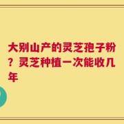 大别山产的灵芝孢子粉？灵芝种植一次能收几年