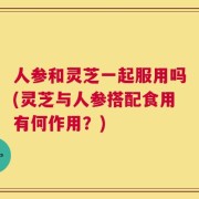人参和灵芝一起服用吗(灵芝与人参搭配食用有何作用？)