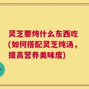 灵芝要炖什么东西吃 (如何搭配灵芝炖汤，提高营养美味度)