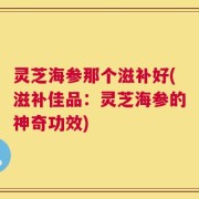 灵芝海参那个滋补好(滋补佳品：灵芝海参的神奇功效)