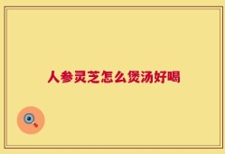人参灵芝怎么煲汤好喝