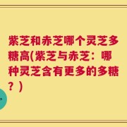 紫芝和赤芝哪个灵芝多糖高(紫芝与赤芝：哪种灵芝含有更多的多糖？)
