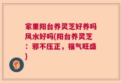 家里阳台养灵芝好养吗风水好吗(阳台养灵芝：邪不压正，福气旺盛)