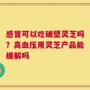 感冒可以吃破壁灵芝吗？高血压用灵芝产品能缓解吗