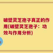 破壁灵芝孢子真正的作用(破壁灵芝孢子：功效与作用分析)
