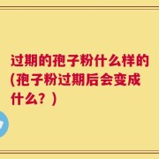 过期的孢子粉什么样的(孢子粉过期后会变成什么？)