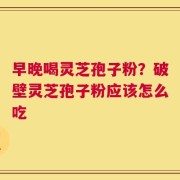 早晚喝灵芝孢子粉？破壁灵芝孢子粉应该怎么吃