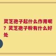 灵芝孢子起什么作用呢？灵芝孢子粉有什么好处