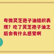 粤微灵芝孢子油组织表现？吃了灵芝孢子油之后会有什么感觉啊