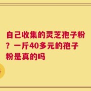 自己收集的灵芝孢子粉？一斤40多元的孢子粉是真的吗