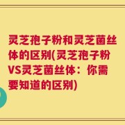 灵芝孢子粉和灵芝菌丝体的区别(灵芝孢子粉VS灵芝菌丝体：你需要知道的区别)