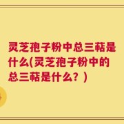 灵芝孢子粉中总三萜是什么(灵芝孢子粉中的总三萜是什么？)