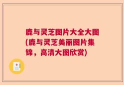 鹿与灵芝图片大全大图(鹿与灵芝美丽图片集锦，高清大图欣赏)