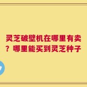 灵芝破壁机在哪里有卖？哪里能买到灵芝种子