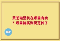 灵芝破壁机在哪里有卖？哪里能买到灵芝种子