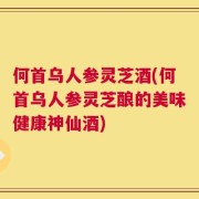 何首乌人参灵芝酒(何首乌人参灵芝酿的美味健康神仙酒)