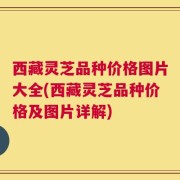 西藏灵芝品种价格图片大全(西藏灵芝品种价格及图片详解)