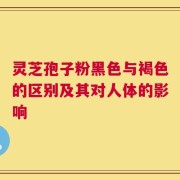 灵芝孢子粉黑色与褐色的区别及其对人体的影响