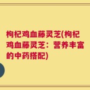 枸杞鸡血藤灵芝(枸杞鸡血藤灵芝：营养丰富的中药搭配)