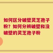 如何区分破壁灵芝孢子粉？如何分辨破壁和没破壁的灵芝孢子粉