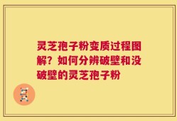灵芝孢子粉变质过程图解？如何分辨破壁和没破壁的灵芝孢子粉