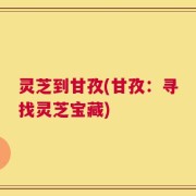 灵芝到甘孜(甘孜：寻找灵芝宝藏)
