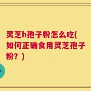 灵芝h孢子粉怎么吃(如何正确食用灵芝孢子粉？)