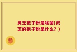 灵芝孢子粉是啥菌(灵芝的孢子粉是什么？)