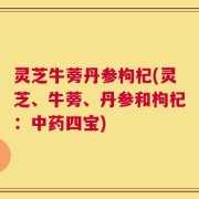 灵芝牛蒡丹参枸杞(灵芝、牛蒡、丹参和枸杞：中药四宝)