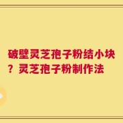 破壁灵芝孢子粉结小块？灵芝孢子粉制作法